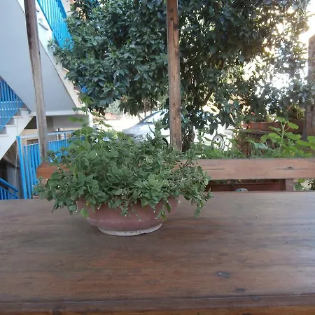 Bed and breakfast Busalacchi 3*