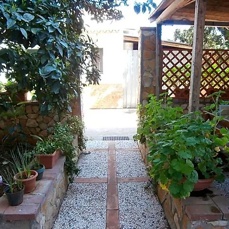 Busalacchi 3*